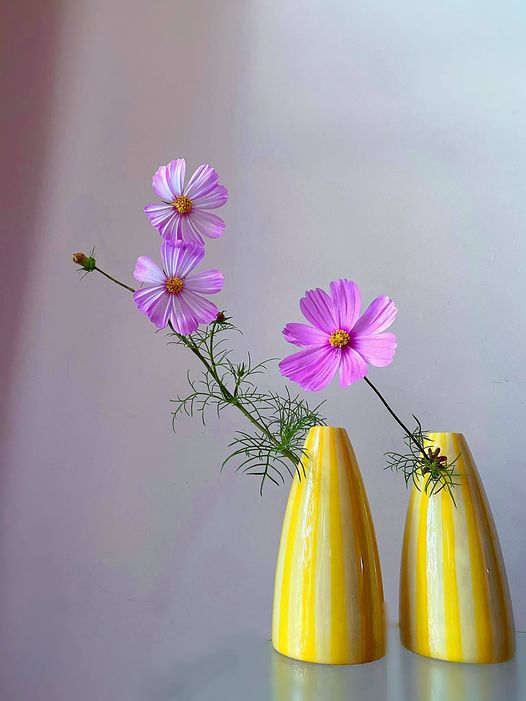 Tử vi hàng ngày 31/3/2022 của 12 cung hoàng đạo